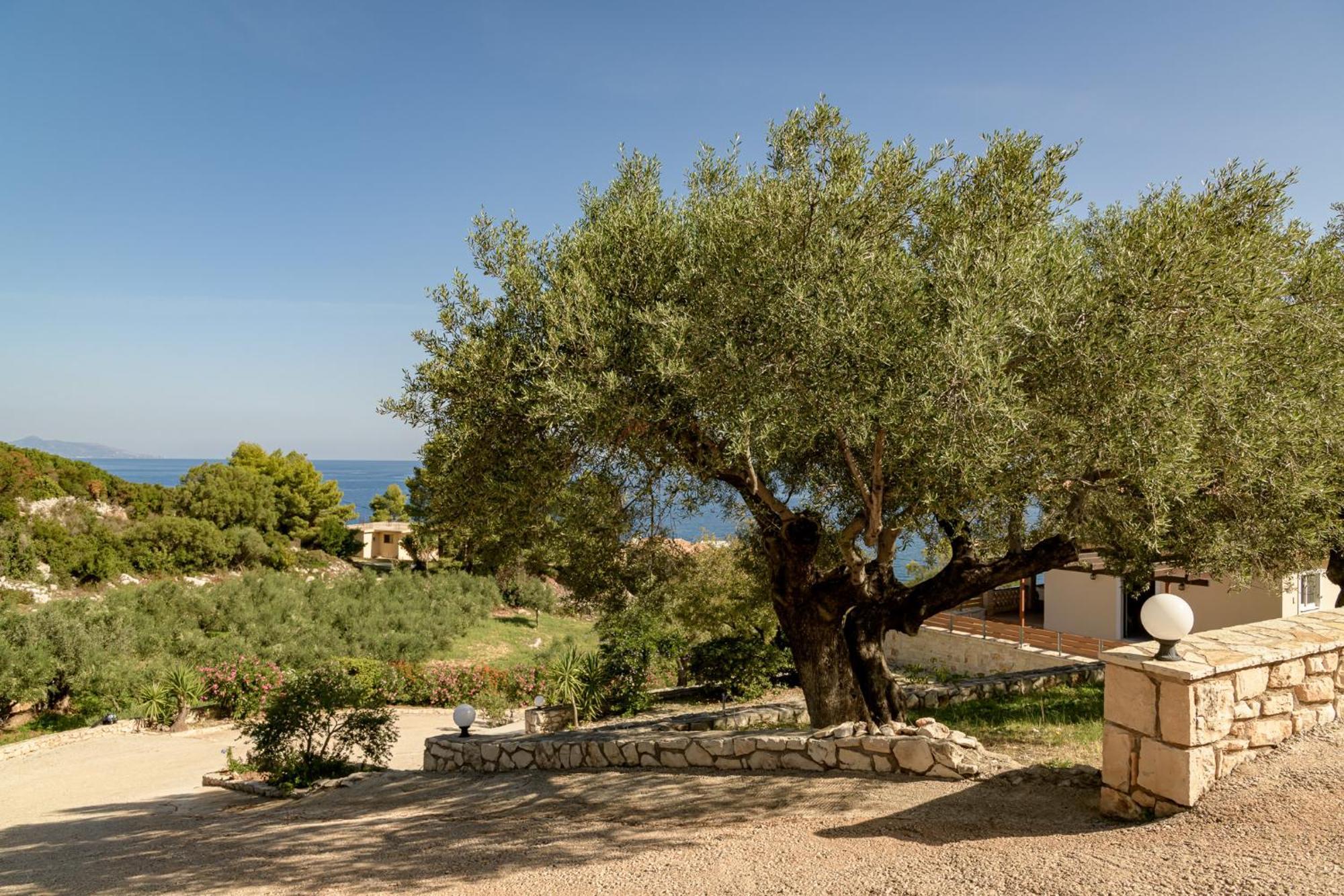 Villa Mare Studios Skinária Buitenkant foto